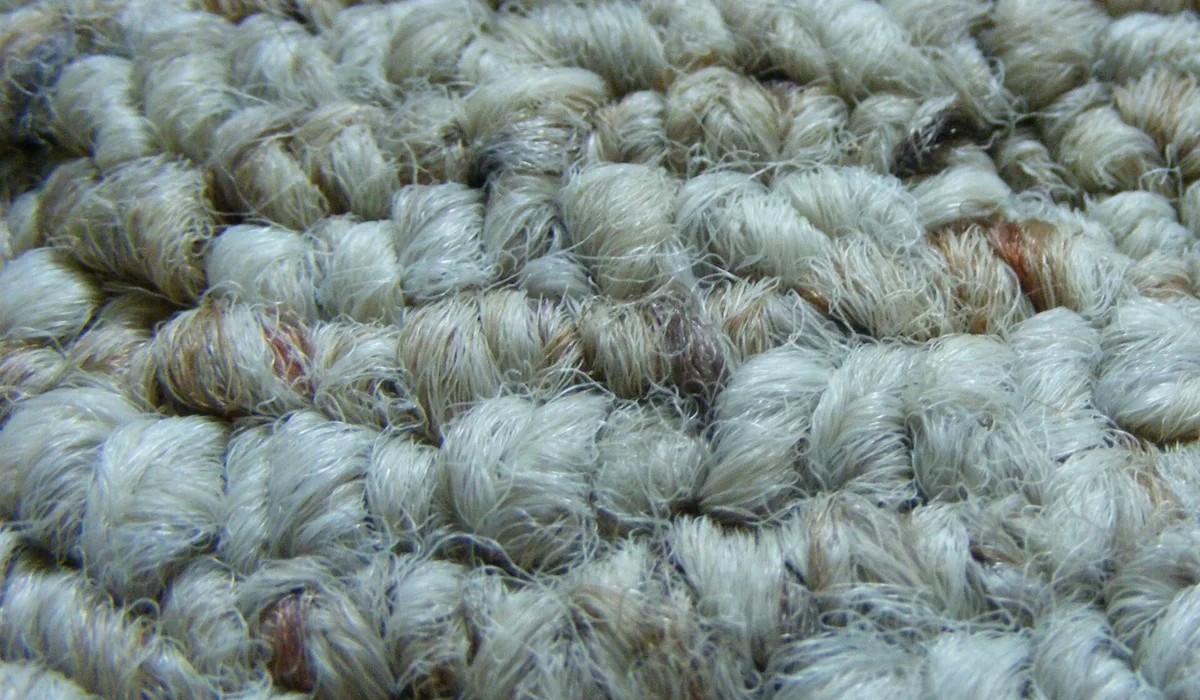 Close-up of Berber carpet loops